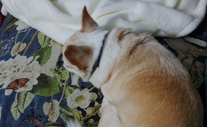 Il DNA e la Tripletta&nbsp;Dio